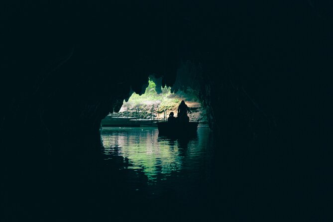 Auckland: Rotorua Māori Village, Waitomo Caves & Lunch - Who will get the most from this itinerary