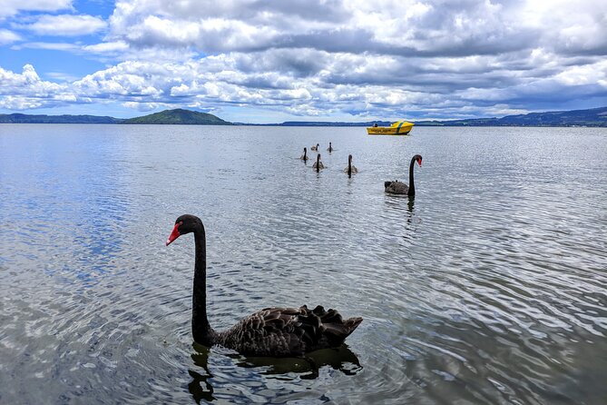 Auckland: Rotorua, Taupo, Waiotapu & Huka Falls Private Trip - Transport, timing, and comfort