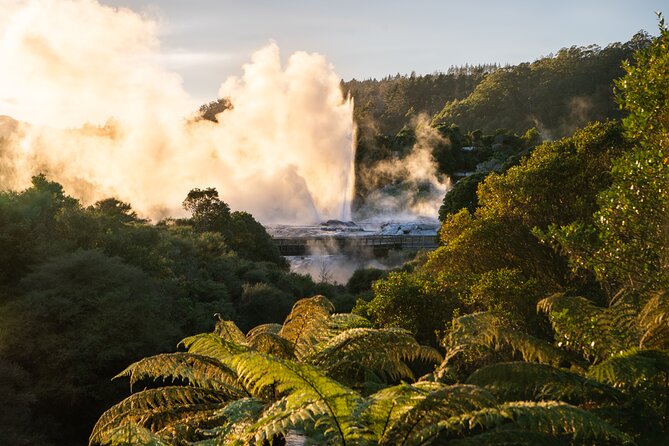Auckland: Rotorua Te Puia with Haka & Polynesian Spa Small Group - A short look at Rotorua between major stops