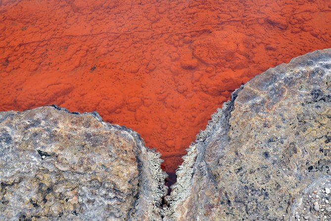 Auckland: Rotorua Tour with Waiotapu, Te Puia and Maori Haka - The small-group advantage