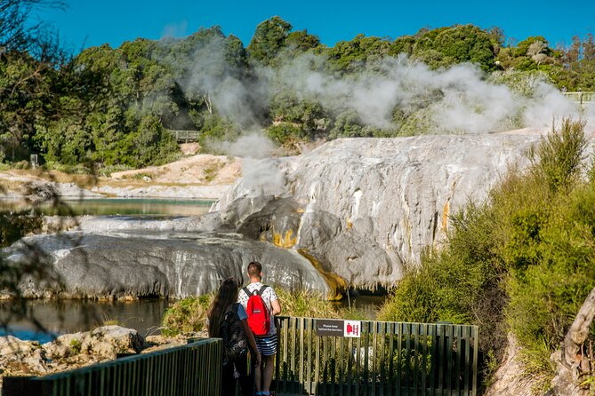 Auckland: Rotorua Tour with Waiotapu, Te Puia and Maori Haka - Who should book this day trip?