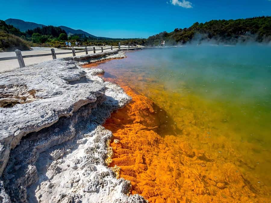 Auckland: Rotorua Wai-O-Tapu, Te Puia with Haka - The early Auckland pickup and long road south