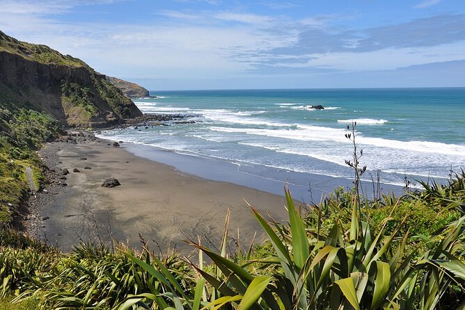 Auckland's Wild West Coast & Black Sand Beaches Tour inc Lunch - Key points at a glance