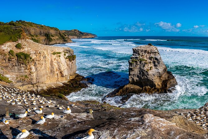 Auckland's Wild West Coast & Black Sand Beaches Tour inc Lunch - From the Sky Tower across the Harbour Bridge