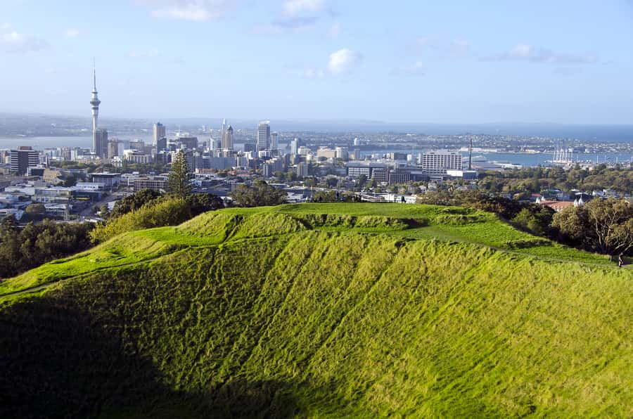 Auckland Scenic Half-Day City Sightseeing Tour - Why this four-hour tour works for first-time Auckland visits