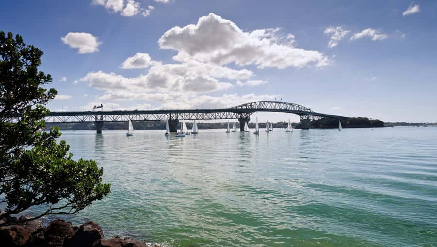 Auckland Scenic Half-Day City Sightseeing Tour - Auckland Domain, the museum, Parnell, and the eastern shore