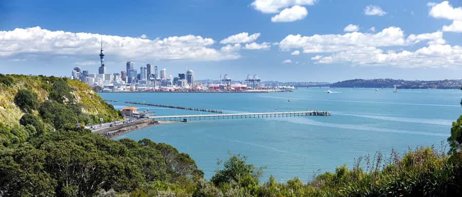 Auckland Scenic Half-Day City Sightseeing Tour - Achilles Point and the Hauraki Gulf view