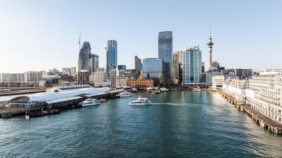 Auckland: Scenic Harbour Sightseeing Cruise - The Sky Tower from the harbour