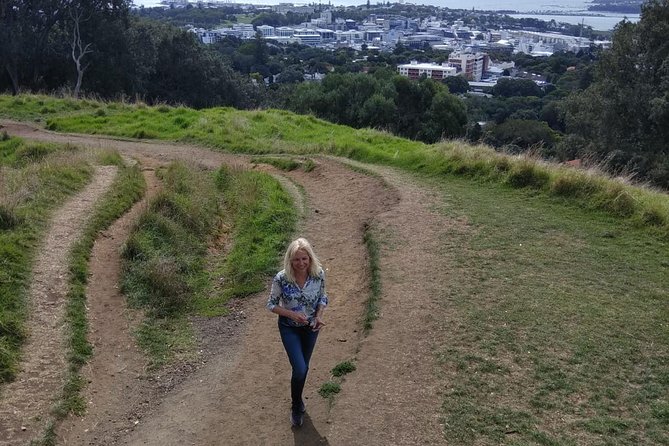 Auckland Scenic Tour : Must-See Sights in Half Day - Small-group touring, guides, and the vehicle