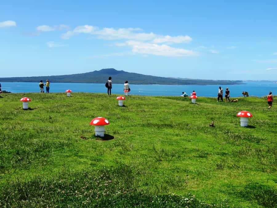 Auckland: Segway Tour to Mount Victoria - Meeting Pauline at Devonport Ferry Terminal