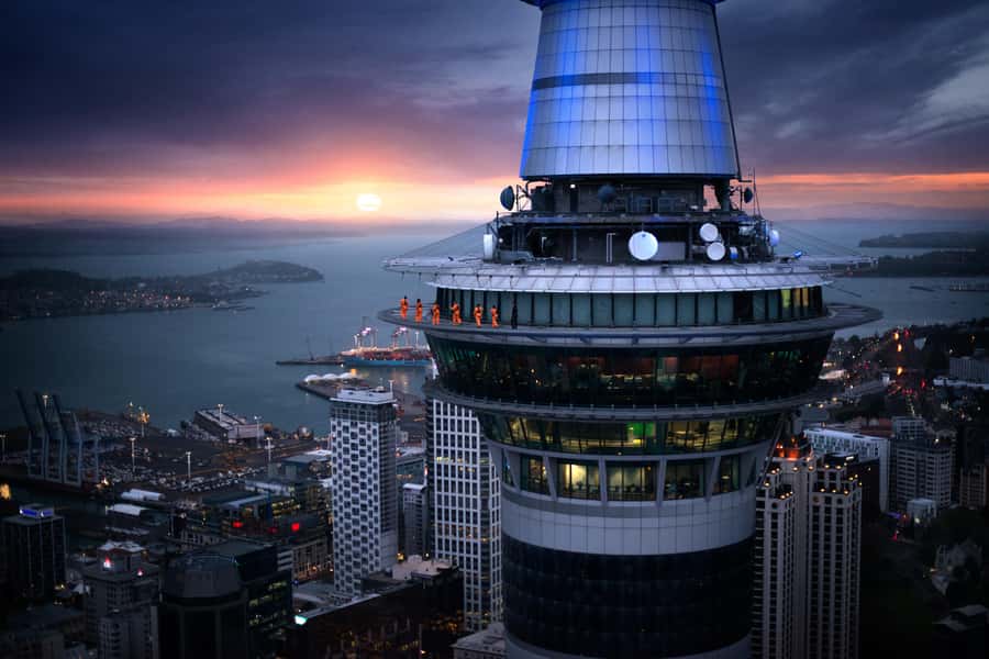 Auckland: Sky Tower SkyWalk - 192m High Edge Walk - The Check-In Beneath Federal and Victoria Streets