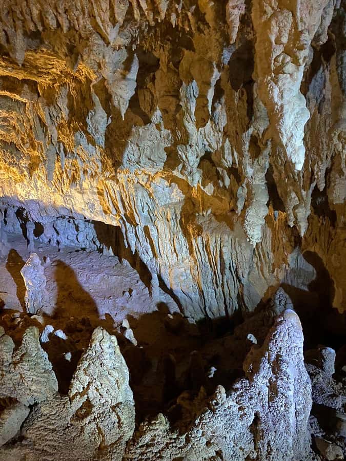 Auckland: Spellbound Glowworm Caves Explorer Tour - Walking through the first cave