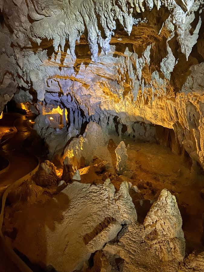Auckland: Spellbound Glowworm Caves Explorer Tour - The Glowworm Grotto by boat