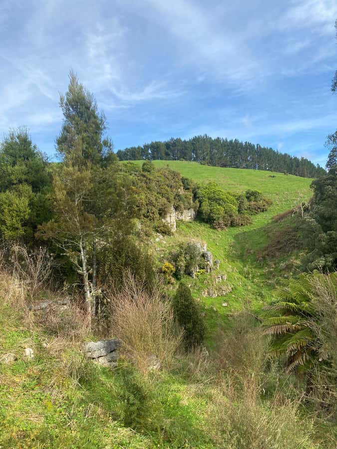 Auckland: Spellbound Glowworm Caves Explorer Tour - Who will enjoy this day most