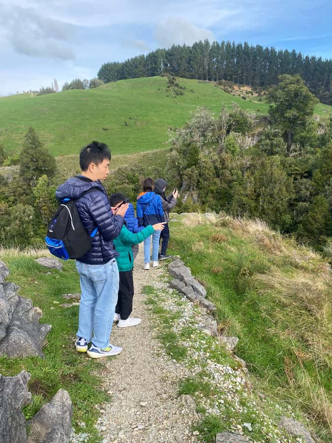 Auckland: Spellbound Glowworm Caves Explorer Tour - Should you book the Spellbound tour?