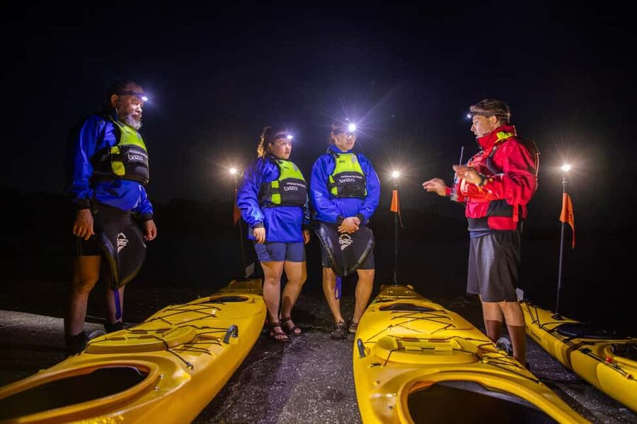 Auckland: Sunset & Night Sea Kayak Tour to Rangitoto Island - Paddling across the Hauraki Gulf