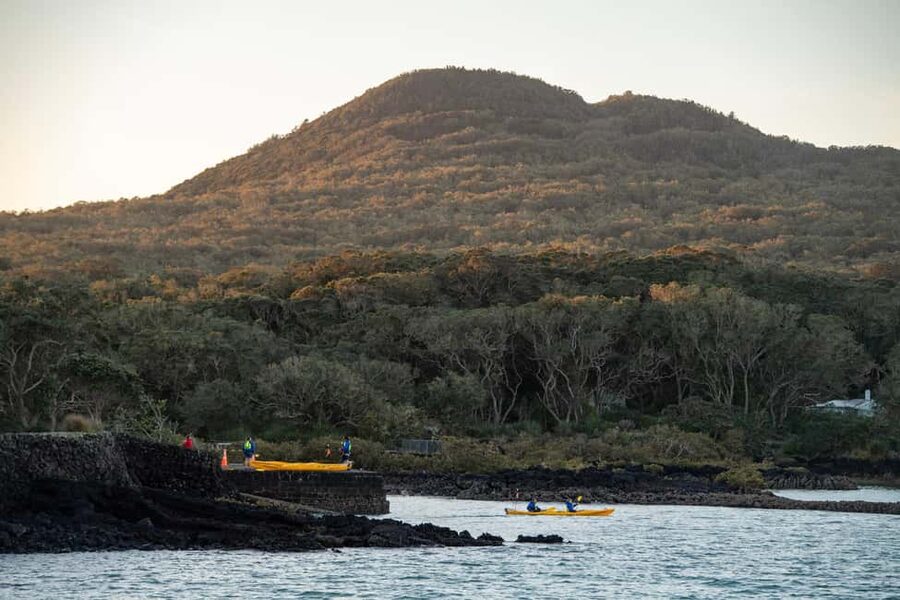 Auckland: Sunset & Night Sea Kayak Tour to Rangitoto Island - Timing, group size, and cancellation