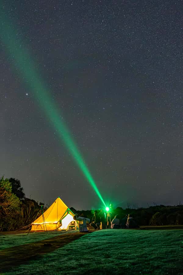 Auckland (Tawharanui): Wild Kiwi Bird Spotting Encounter - Bioluminescence, if nature provides it