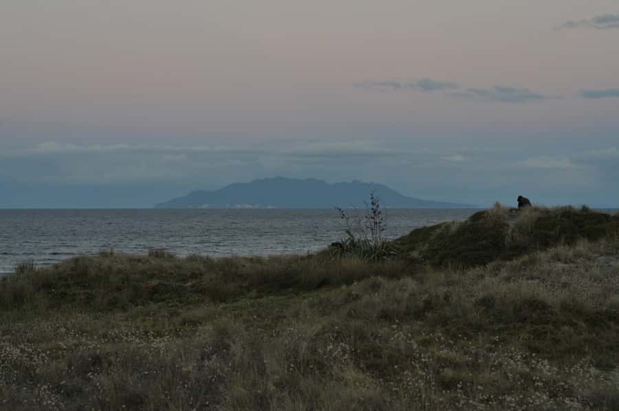 Auckland (Tawharanui): Wild Kiwi Bird Spotting Encounter - What the optional glamping stay adds