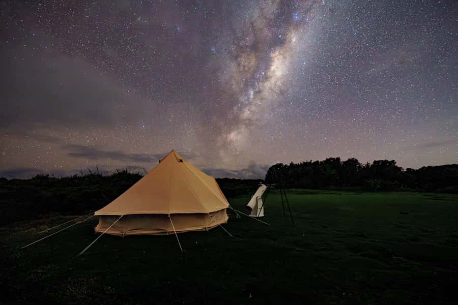 Auckland (Tawharanui): Wild Kiwi Bird Spotting Encounter - Practical tips for a better night