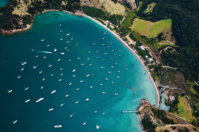 Auckland: Tikapa Moana Dolphin, Whale and Island Cruise - The Hauraki Gulf portion: scenery, patience, and luck