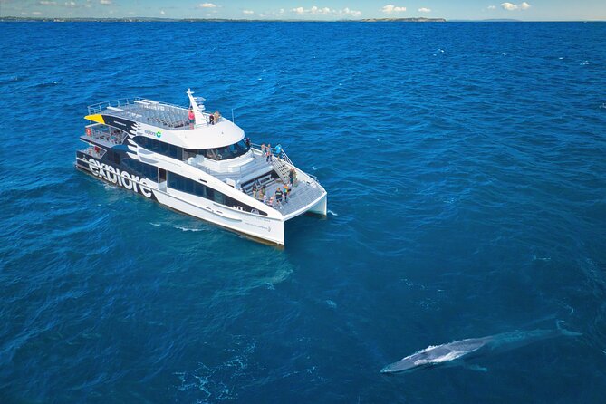 Auckland: Tikapa Moana Dolphin, Whale and Island Cruise - What the boat offers during the search