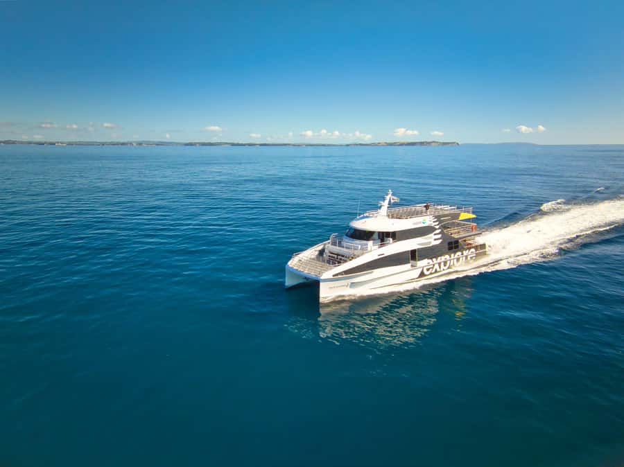 Auckland: Tikapa Moana Whales, Dolphins and Islands Cruise - Auckland to Tikapa Moana, the Hauraki Gulf