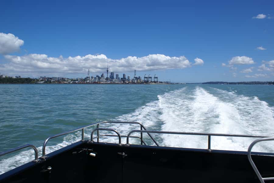 Auckland: Tikapa Moana Whales, Dolphins and Islands Cruise - Rotoroa Island, trails and conservation