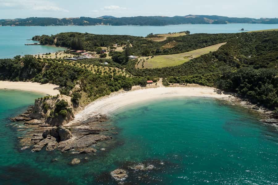 Auckland: Tikapa Moana Whales, Dolphins and Islands Cruise - Man O’ War Vineyard on Waiheke Island