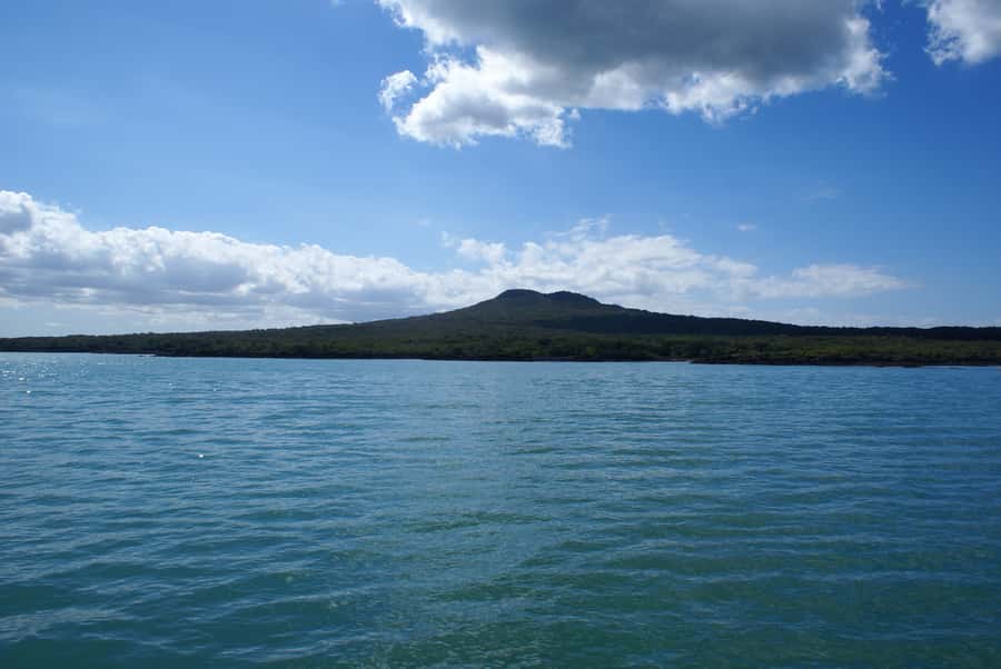 Auckland: Tikapa Moana Whales, Dolphins and Islands Cruise - Who will enjoy this cruise most?