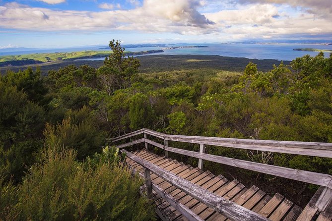 Auckland to Rangitoto Island Ferry - Why Rangitoto makes such a good Auckland outing