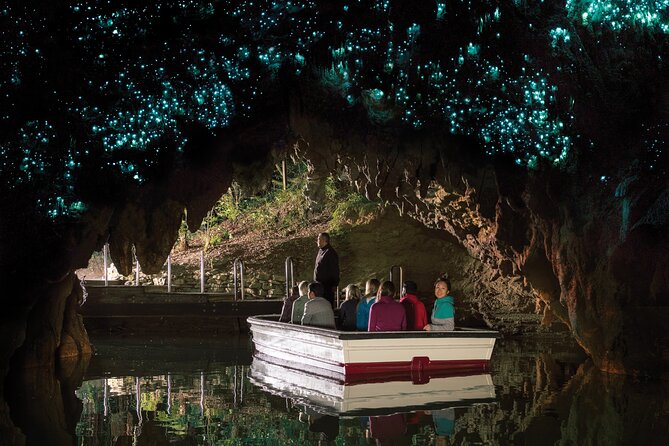 Auckland to Rotorua, Hobbiton and Waitomo 1 Way Small Group Tour - Is $266.23 a fair price?