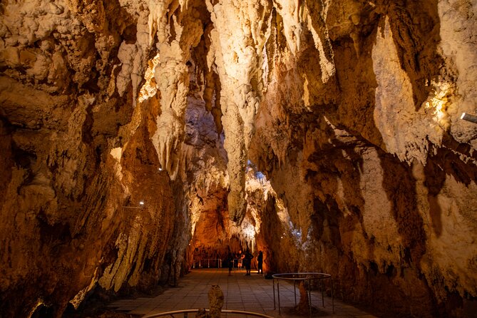 Auckland to Rotorua, Hobbiton and Waitomo 1 Way Small Group Tour - Who should book this experience?