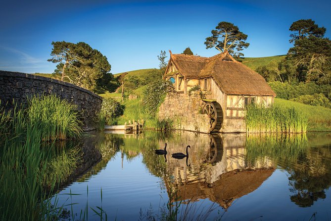 Auckland to Rotorua via Hobbiton Movie Set Tour - One Way - Group size and the Hobbiton portion