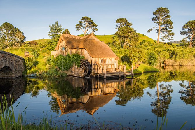 Auckland to Rotorua via Hobbiton Small Group Tour (One Way) - Why this route beats a plain Auckland to Rotorua bus
