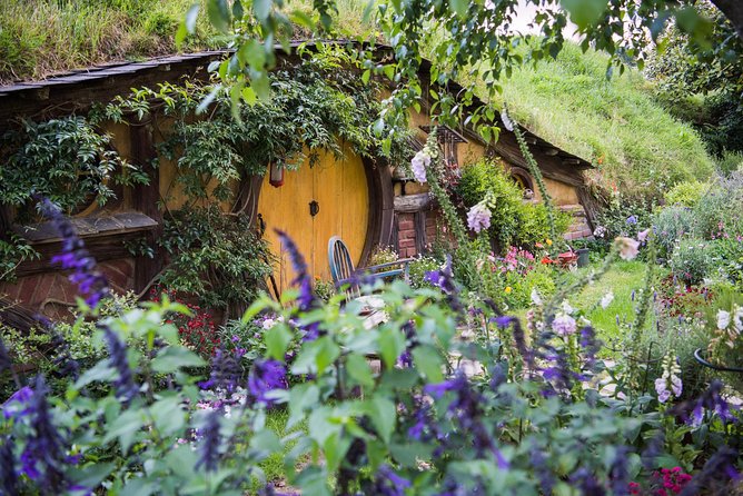 Auckland to Rotorua via Hobbiton Small Group Tour (One Way) - Entering the 12-acre Hobbiton Movie Set