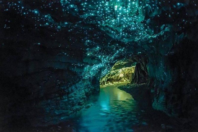 Auckland to Rotorua via Waitomo Caves Small Group Tour (One Way) - Why this Auckland to Rotorua route works