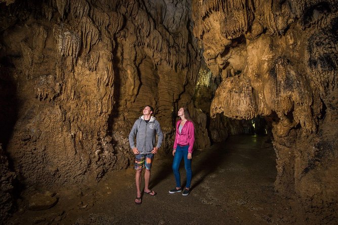 Auckland to Rotorua via Waitomo Caves Small Group Tour (One Way) - A short Pirongia break after Auckland