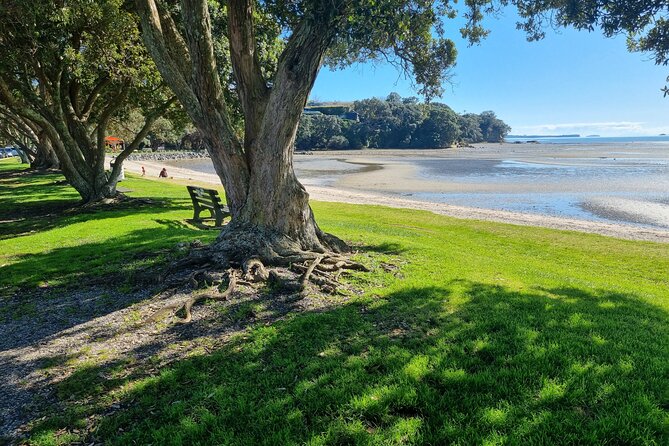 Auckland Town and Country Delights Tour - Key things to know before booking