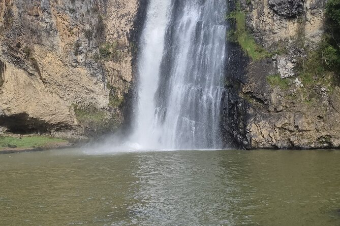 Auckland Town and Country Delights Tour - Why this tour reaches beyond central Auckland