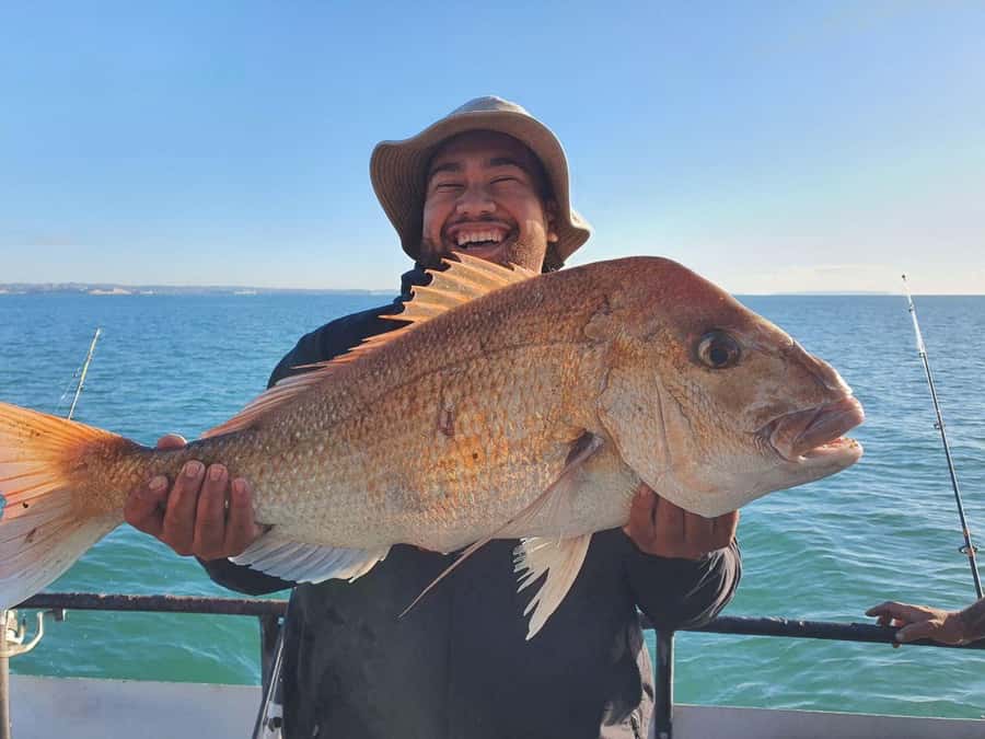 Auckland: Twilight Fishing Charter 5pm - 9:30pm - Fishing Auckland’s Hauraki Gulf from 5pm to 9:30pm
