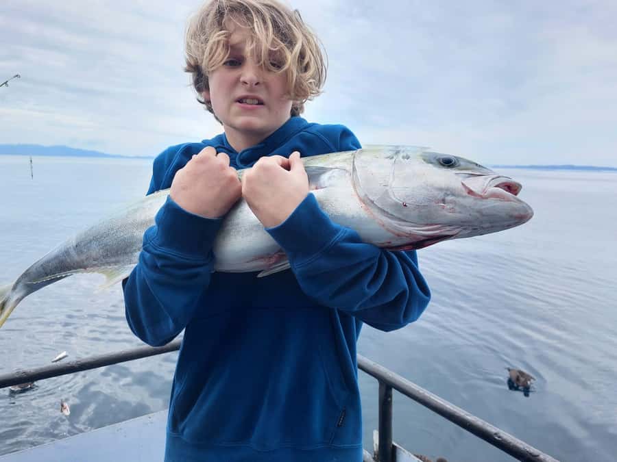 Auckland: Twilight Fishing Charter 5pm - 9:30pm - Coastal views after Auckland’s busy day