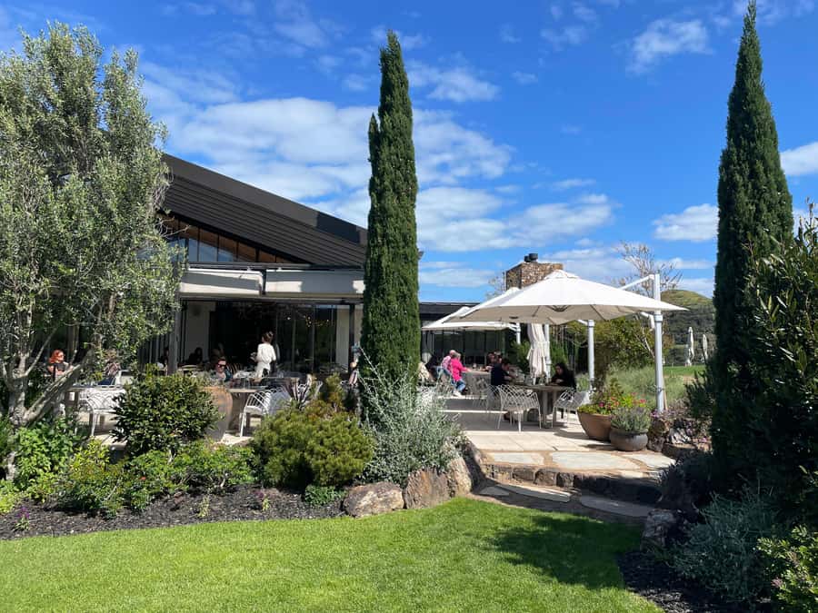 Auckland: Waiheke Island Luxury Experience Private Tour - Should You Book This Waiheke Day?