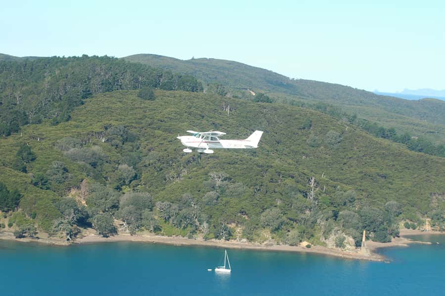 Auckland: Waiheke Island Wine and Food Tasting with Flights - What the two-hour Waiheke stop feels like