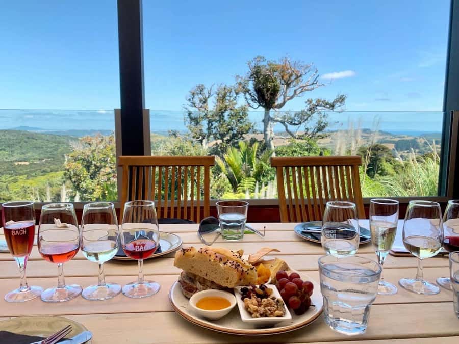 Auckland: Waiheke Island Wine and Food Tasting with Flights - The return to Auckland is part of the appeal