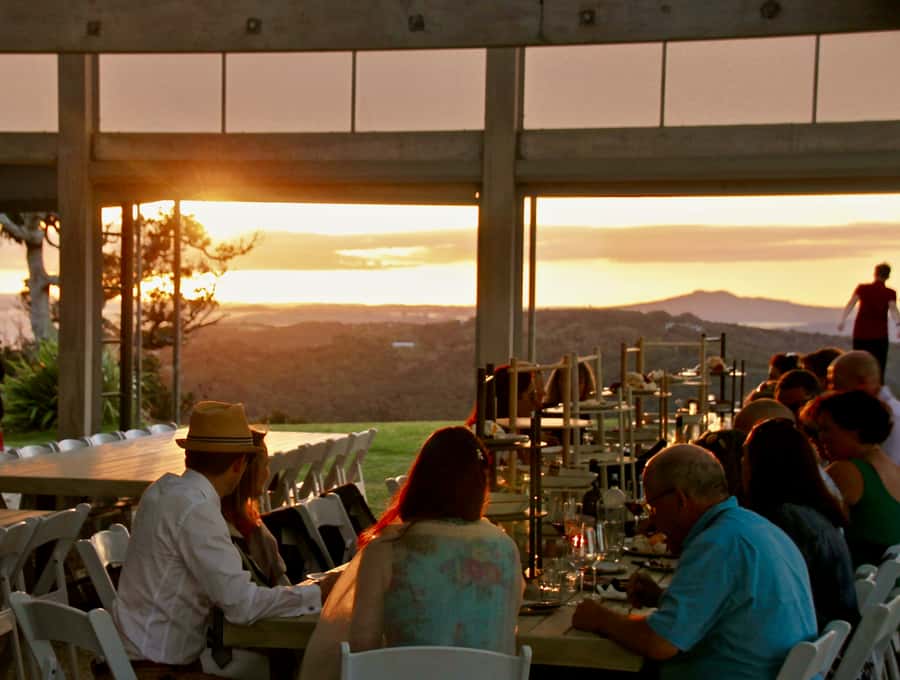 Auckland: Waiheke Island Wine and Food Tasting with Flights - Small-group guiding with Chris and Josh