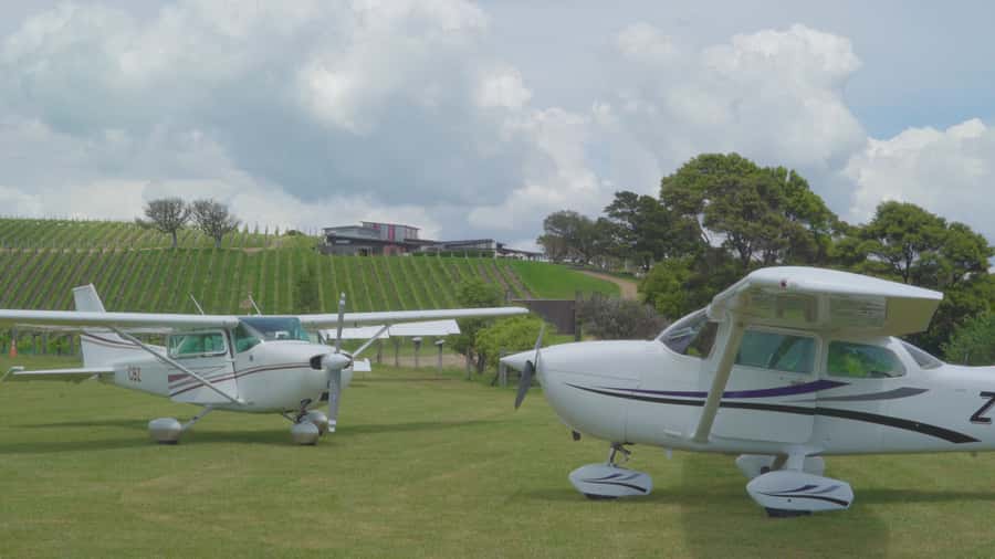 Auckland: Waiheke Island Wine and Food Tasting with Flights - Who should book this Waiheke experience?