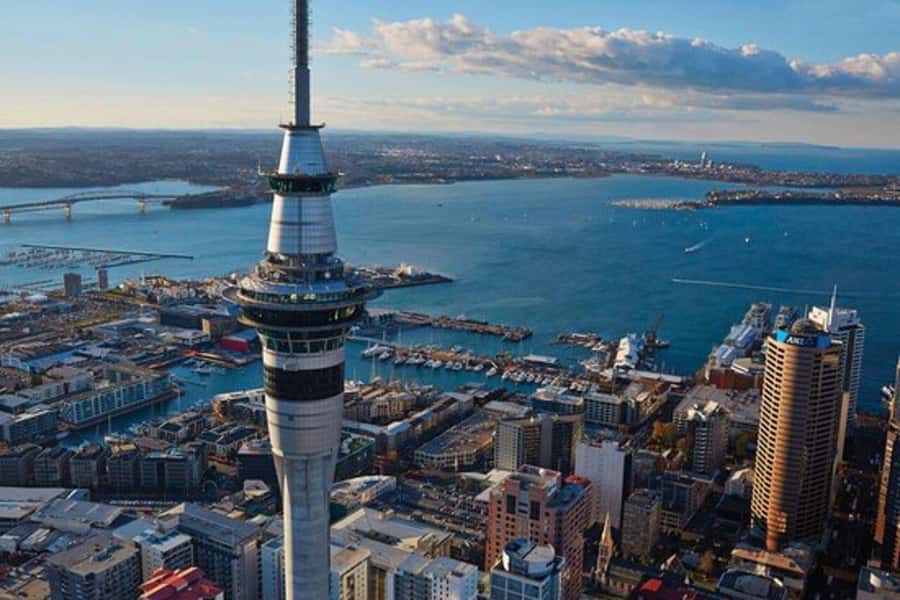 Auckland: Waiheke Island Wine and Food Tasting with Flights - Batch Winery, lunch, and views from Waiheke’s high point