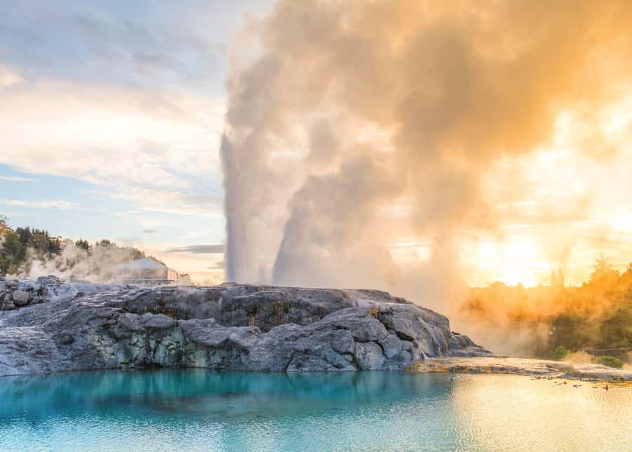Auckland: Waitomo Caves & Rotorua - Te Puia Small-Group Tour - Group size, comfort, and walking demands