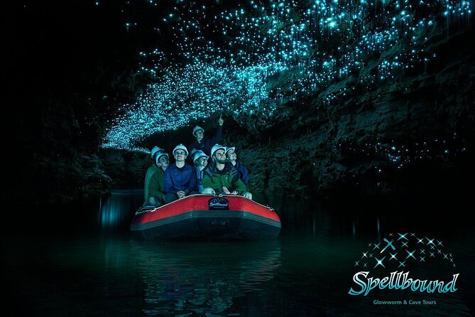 Auckland : Waitomo Spellbound Glow Worm Twin Caves Private Tour - The glowworm sky beneath Waitomo